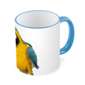 Кружка 3D с принтом Попугай ара , керамика | ёмкость 330 мл | желтый | птица | синий | экзотика