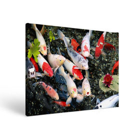 Холст прямоугольный с принтом Koi Fish (карпы кои) , 100% ПВХ |  | bright | brocade | carp | color | decorative | depth | exotic | fish | koi | koi fish | sea | water | вода | глубина | декоративные | карпы | кои | море | парчовый | рыбки | цвет | экзотические | яркий