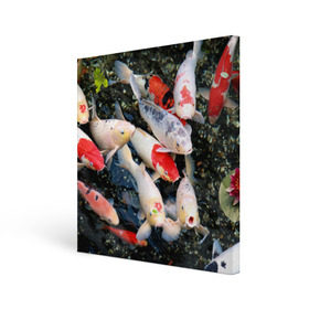 Холст квадратный с принтом Koi Fish (карпы кои) , 100% ПВХ |  | bright | brocade | carp | color | decorative | depth | exotic | fish | koi | koi fish | sea | water | вода | глубина | декоративные | карпы | кои | море | парчовый | рыбки | цвет | экзотические | яркий