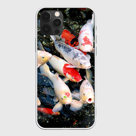 Чехол для iPhone 12 Pro с принтом Koi Fish (карпы кои) , силикон | область печати: задняя сторона чехла, без боковых панелей | Тематика изображения на принте: bright | brocade | carp | color | decorative | depth | exotic | fish | koi | koi fish | sea | water | вода | глубина | декоративные | карпы | кои | море | парчовый | рыбки | цвет | экзотические | яркий