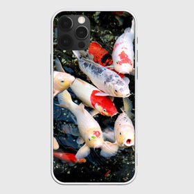 Чехол для iPhone 12 Pro Max с принтом Koi Fish (карпы кои) , Силикон |  | Тематика изображения на принте: bright | brocade | carp | color | decorative | depth | exotic | fish | koi | koi fish | sea | water | вода | глубина | декоративные | карпы | кои | море | парчовый | рыбки | цвет | экзотические | яркий