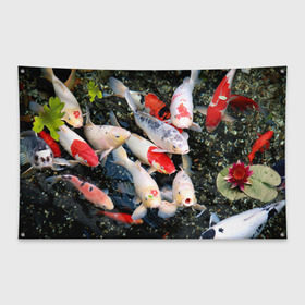 Флаг-баннер с принтом Koi Fish (карпы кои) , 100% полиэстер | размер 67 х 109 см, плотность ткани — 95 г/м2; по краям флага есть четыре люверса для крепления | bright | brocade | carp | color | decorative | depth | exotic | fish | koi | koi fish | sea | water | вода | глубина | декоративные | карпы | кои | море | парчовый | рыбки | цвет | экзотические | яркий