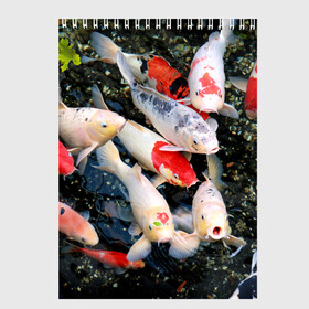 Скетчбук с принтом Koi Fish (карпы кои) , 100% бумага
 | 48 листов, плотность листов — 100 г/м2, плотность картонной обложки — 250 г/м2. Листы скреплены сверху удобной пружинной спиралью | bright | brocade | carp | color | decorative | depth | exotic | fish | koi | koi fish | sea | water | вода | глубина | декоративные | карпы | кои | море | парчовый | рыбки | цвет | экзотические | яркий
