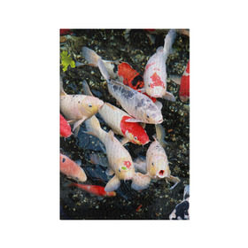 Обложка для паспорта матовая кожа с принтом Koi Fish (карпы кои) , натуральная матовая кожа | размер 19,3 х 13,7 см; прозрачные пластиковые крепления | Тематика изображения на принте: bright | brocade | carp | color | decorative | depth | exotic | fish | koi | koi fish | sea | water | вода | глубина | декоративные | карпы | кои | море | парчовый | рыбки | цвет | экзотические | яркий