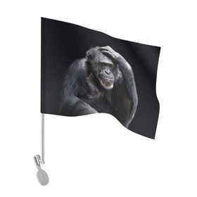 Флаг для автомобиля с принтом ЕГЭ , 100% полиэстер | Размер: 30*21 см | егэ | обезьяна | шимпанзе | школа | экзамен | экзамены