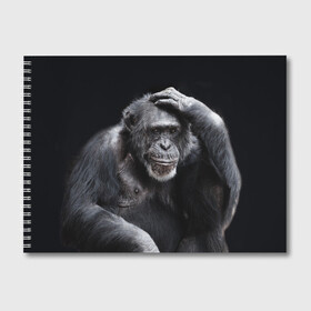 Альбом для рисования с принтом ЕГЭ , 100% бумага
 | матовая бумага, плотность 200 мг. | егэ | обезьяна | шимпанзе | школа | экзамен | экзамены