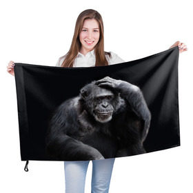 Флаг 3D с принтом ЕГЭ , 100% полиэстер | плотность ткани — 95 г/м2, размер — 67 х 109 см. Принт наносится с одной стороны | егэ | обезьяна | шимпанзе | школа | экзамен | экзамены