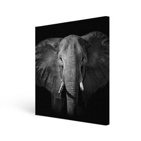 Холст квадратный с принтом Слон , 100% ПВХ |  | animal | big | black   white | elephant | wild | большой | дикий | животное | слон | черно   белый