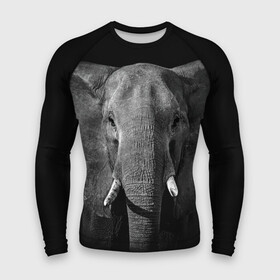 Мужской рашгард 3D с принтом Слон ,  |  | Тематика изображения на принте: animal | big | black   white | elephant | wild | большой | дикий | животное | слон | черно   белый