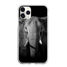Чехол для iPhone 11 Pro матовый с принтом Слон , Силикон |  | animal | big | black   white | elephant | wild | большой | дикий | животное | слон | черно   белый