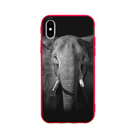 Чехол для Apple iPhone X силиконовый матовый с принтом Слон , Силикон | Печать на задней стороне чехла, без боковой панели | animal | big | black   white | elephant | wild | большой | дикий | животное | слон | черно   белый