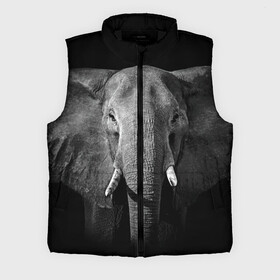 Мужской жилет утепленный 3D с принтом Слон ,  |  | animal | big | black   white | elephant | wild | большой | дикий | животное | слон | черно   белый