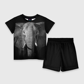 Детский костюм с шортами 3D с принтом Слон ,  |  | animal | big | black   white | elephant | wild | большой | дикий | животное | слон | черно   белый