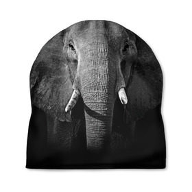 Шапка 3D с принтом Слон , 100% полиэстер | универсальный размер, печать по всей поверхности изделия | Тематика изображения на принте: animal | big | black   white | elephant | wild | большой | дикий | животное | слон | черно   белый