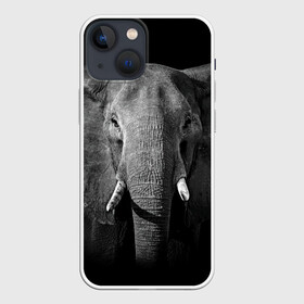 Чехол для iPhone 13 mini с принтом Слон ,  |  | animal | big | black   white | elephant | wild | большой | дикий | животное | слон | черно   белый