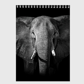 Скетчбук с принтом Слон , 100% бумага
 | 48 листов, плотность листов — 100 г/м2, плотность картонной обложки — 250 г/м2. Листы скреплены сверху удобной пружинной спиралью | animal | big | black   white | elephant | wild | большой | дикий | животное | слон | черно   белый