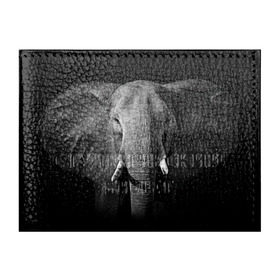Обложка для студенческого билета с принтом Слон , натуральная кожа | Размер: 11*8 см; Печать на всей внешней стороне | animal | big | black   white | elephant | wild | большой | дикий | животное | слон | черно   белый