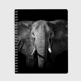 Тетрадь с принтом Слон , 100% бумага | 48 листов, плотность листов — 60 г/м2, плотность картонной обложки — 250 г/м2. Листы скреплены сбоку удобной пружинной спиралью. Уголки страниц и обложки скругленные. Цвет линий — светло-серый
 | animal | big | black   white | elephant | wild | большой | дикий | животное | слон | черно   белый