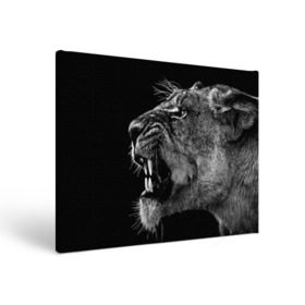 Холст прямоугольный с принтом Львица , 100% ПВХ |  | animal | fangs | head | lion | lioness | predator | teeth | wild | голова | дикая | животное | клыки | лев | львица | оскал | хищник