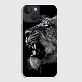 Чехол для iPhone 13 mini с принтом Львица ,  |  | animal | fangs | head | lion | lioness | predator | teeth | wild | голова | дикая | животное | клыки | лев | львица | оскал | хищник