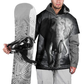 Накидка на куртку 3D с принтом Слон , 100% полиэстер |  | africa | animal | big | black   white | elephant | go | road | savannah | wild | африка | большой | дикий | дорога | животное | идет | саванна | слон | черно   белый