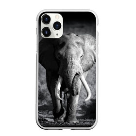 Чехол для iPhone 11 Pro матовый с принтом Слон , Силикон |  | africa | animal | big | black   white | elephant | go | road | savannah | wild | африка | большой | дикий | дорога | животное | идет | саванна | слон | черно   белый