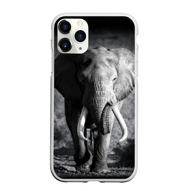 Чехол для iPhone 11 Pro Max матовый с принтом Слон , Силикон |  | Тематика изображения на принте: africa | animal | big | black   white | elephant | go | road | savannah | wild | африка | большой | дикий | дорога | животное | идет | саванна | слон | черно   белый