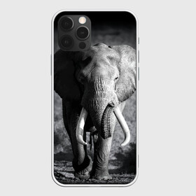 Чехол для iPhone 12 Pro с принтом Слон , силикон | область печати: задняя сторона чехла, без боковых панелей | africa | animal | big | black   white | elephant | go | road | savannah | wild | африка | большой | дикий | дорога | животное | идет | саванна | слон | черно   белый