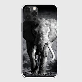 Чехол для iPhone 12 Pro Max с принтом Слон , Силикон |  | Тематика изображения на принте: africa | animal | big | black   white | elephant | go | road | savannah | wild | африка | большой | дикий | дорога | животное | идет | саванна | слон | черно   белый
