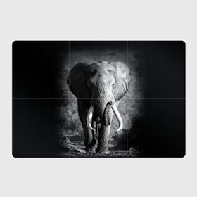Магнитный плакат 3Х2 с принтом Слон , Полимерный материал с магнитным слоем | 6 деталей размером 9*9 см | africa | animal | big | black   white | elephant | go | road | savannah | wild | африка | большой | дикий | дорога | животное | идет | саванна | слон | черно   белый