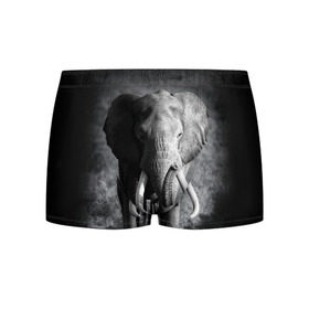 Мужские трусы 3D с принтом Слон , 50% хлопок, 50% полиэстер | классическая посадка, на поясе мягкая тканевая резинка | africa | animal | big | black   white | elephant | go | road | savannah | wild | африка | большой | дикий | дорога | животное | идет | саванна | слон | черно   белый
