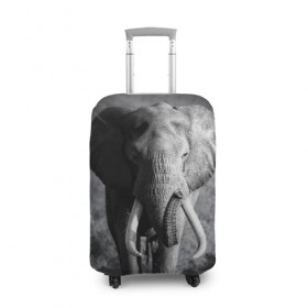 Чехол для чемодана 3D с принтом Слон , 86% полиэфир, 14% спандекс | двустороннее нанесение принта, прорези для ручек и колес | africa | animal | big | black   white | elephant | go | road | savannah | wild | африка | большой | дикий | дорога | животное | идет | саванна | слон | черно   белый