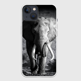 Чехол для iPhone 13 с принтом Слон ,  |  | africa | animal | big | black   white | elephant | go | road | savannah | wild | африка | большой | дикий | дорога | животное | идет | саванна | слон | черно   белый