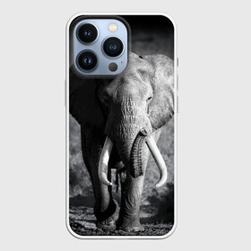 Чехол для iPhone 13 Pro с принтом Слон ,  |  | africa | animal | big | black   white | elephant | go | road | savannah | wild | африка | большой | дикий | дорога | животное | идет | саванна | слон | черно   белый
