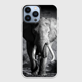 Чехол для iPhone 13 Pro Max с принтом Слон ,  |  | africa | animal | big | black   white | elephant | go | road | savannah | wild | африка | большой | дикий | дорога | животное | идет | саванна | слон | черно   белый