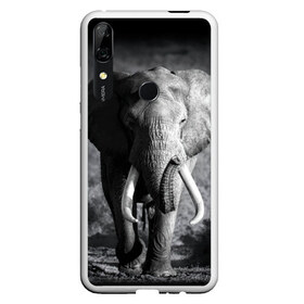 Чехол для Honor P Smart Z с принтом Слон , Силикон | Область печати: задняя сторона чехла, без боковых панелей | Тематика изображения на принте: africa | animal | big | black   white | elephant | go | road | savannah | wild | африка | большой | дикий | дорога | животное | идет | саванна | слон | черно   белый