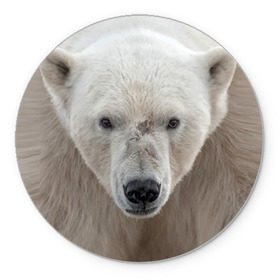 Коврик круглый с принтом Белый медведь , резина и полиэстер | круглая форма, изображение наносится на всю лицевую часть | animal | bear | eyes | head | north | polar | predator | white | wild | белый | взгляд | голова | дикий | животное | медведь | полярный | север | хищник