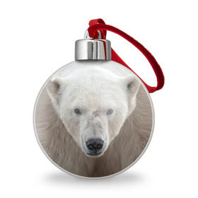 Ёлочный шар с принтом Белый медведь , Пластик | Диаметр: 77 мм | animal | bear | eyes | head | north | polar | predator | white | wild | белый | взгляд | голова | дикий | животное | медведь | полярный | север | хищник