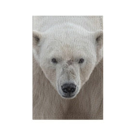 Обложка для паспорта матовая кожа с принтом Белый медведь , натуральная матовая кожа | размер 19,3 х 13,7 см; прозрачные пластиковые крепления | animal | bear | eyes | head | north | polar | predator | white | wild | белый | взгляд | голова | дикий | животное | медведь | полярный | север | хищник