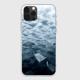 Чехол для iPhone 12 Pro с принтом Электрические скаты , силикон | область печати: задняя сторона чехла, без боковых панелей | depth | fish | lot | ocean | power | rays | school | sea | water | вода | глубина | косяк | много | море | океан | рыбы | скаты | электрические