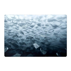 Магнитный плакат 3Х2 с принтом Электрические скаты , Полимерный материал с магнитным слоем | 6 деталей размером 9*9 см | Тематика изображения на принте: depth | fish | lot | ocean | power | rays | school | sea | water | вода | глубина | косяк | много | море | океан | рыбы | скаты | электрические