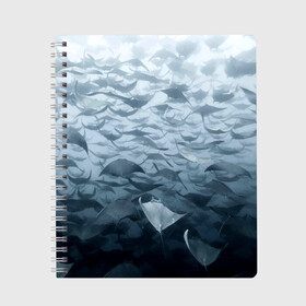 Тетрадь с принтом Электрические скаты , 100% бумага | 48 листов, плотность листов — 60 г/м2, плотность картонной обложки — 250 г/м2. Листы скреплены сбоку удобной пружинной спиралью. Уголки страниц и обложки скругленные. Цвет линий — светло-серый
 | Тематика изображения на принте: depth | fish | lot | ocean | power | rays | school | sea | water | вода | глубина | косяк | много | море | океан | рыбы | скаты | электрические