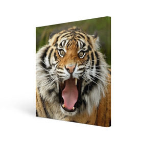 Холст квадратный с принтом Тигр , 100% ПВХ |  | angry | animal | beast | jaws | predator | teeth | tiger | животное | зверь | злой | клыки | оскал | пасть | тигр | хищник