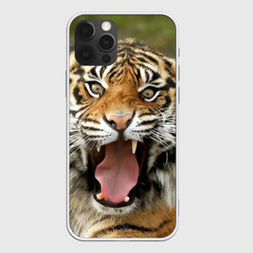 Чехол для iPhone 12 Pro Max с принтом Тигр , Силикон |  | Тематика изображения на принте: angry | animal | beast | jaws | predator | teeth | tiger | животное | зверь | злой | клыки | оскал | пасть | тигр | хищник