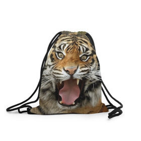 Рюкзак-мешок 3D с принтом Тигр , 100% полиэстер | плотность ткани — 200 г/м2, размер — 35 х 45 см; лямки — толстые шнурки, застежка на шнуровке, без карманов и подкладки | angry | animal | beast | jaws | predator | teeth | tiger | животное | зверь | злой | клыки | оскал | пасть | тигр | хищник