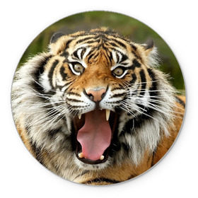 Коврик круглый с принтом Тигр , резина и полиэстер | круглая форма, изображение наносится на всю лицевую часть | angry | animal | beast | jaws | predator | teeth | tiger | животное | зверь | злой | клыки | оскал | пасть | тигр | хищник