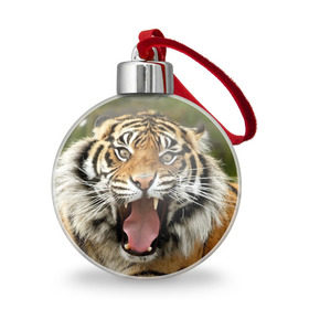 Ёлочный шар с принтом Тигр , Пластик | Диаметр: 77 мм | Тематика изображения на принте: angry | animal | beast | jaws | predator | teeth | tiger | животное | зверь | злой | клыки | оскал | пасть | тигр | хищник