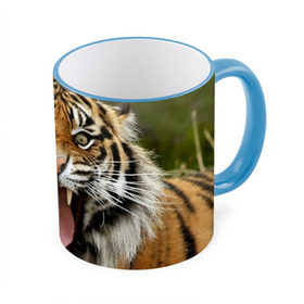 Кружка 3D с принтом Тигр , керамика | ёмкость 330 мл | Тематика изображения на принте: angry | animal | beast | jaws | predator | teeth | tiger | животное | зверь | злой | клыки | оскал | пасть | тигр | хищник