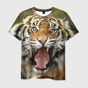 Мужская футболка 3D с принтом Тигр , 100% полиэфир | прямой крой, круглый вырез горловины, длина до линии бедер | Тематика изображения на принте: angry | animal | beast | jaws | predator | teeth | tiger | животное | зверь | злой | клыки | оскал | пасть | тигр | хищник