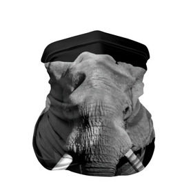 Бандана-труба 3D с принтом Слон , 100% полиэстер, ткань с особыми свойствами — Activecool | плотность 150‒180 г/м2; хорошо тянется, но сохраняет форму | Тематика изображения на принте: africa | big | black   white | elephant is an animal | shroud | tusks | африка | бивни | большой | животное | идет | савана | слон | черно   белый